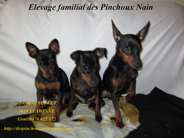 pinchoux_site